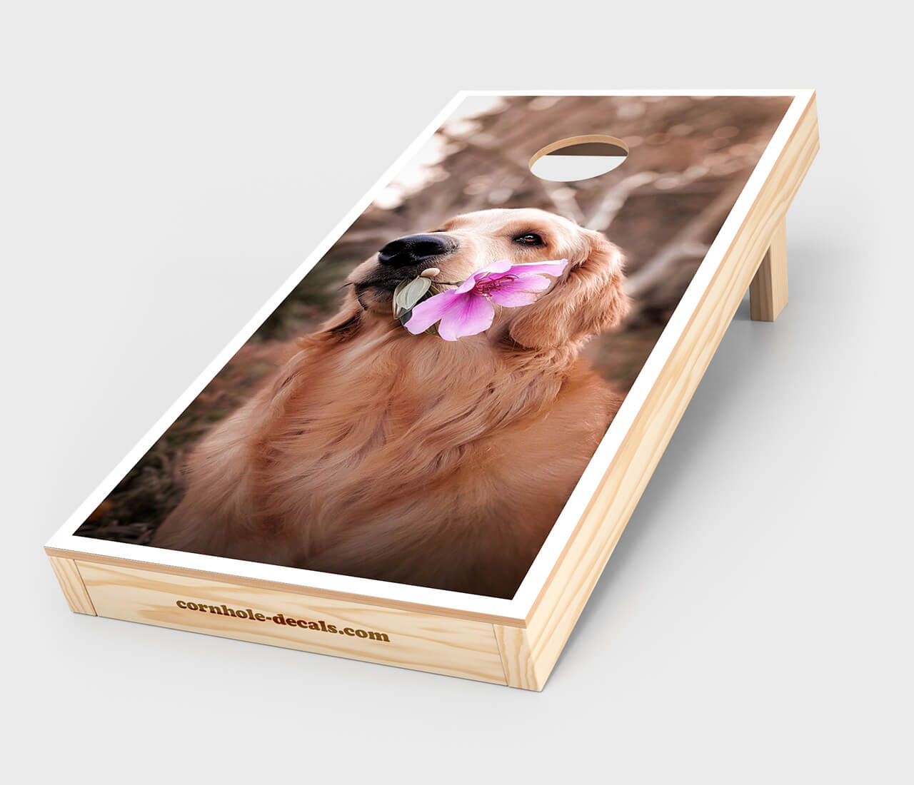 Photographic Custom Cornhole Wrap Design